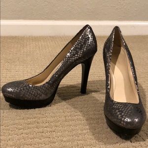 Metallic Reptile Platforms